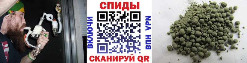 Купить закладки Вытегра Бутират BDO