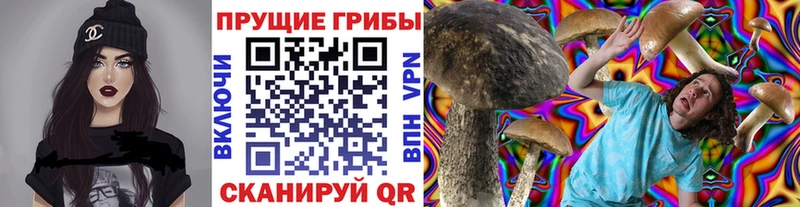 Псилоцибиновые грибы Psilocybine cubensis  Купить  Вытегра 