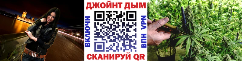 Купить где  Вытегра  Марихуана сатива 